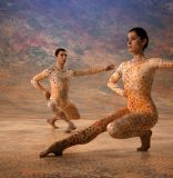 ScreenDance Miami: ese instante en que te sientes vivo