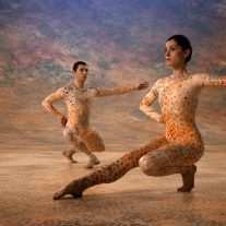 ScreenDance Miami: ese instante en que te sientes vivo