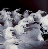 Revisitando el legado de Rodolfo Rodríguez… en su cumpleaños número 87