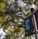 Coconut Grove banners are pieces of art