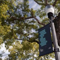 Coconut Grove banners are pieces of art