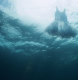 Two Locust Projects exhibitions tackle themes of home, migration