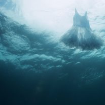 Two Locust Projects exhibitions tackle themes of home, migration