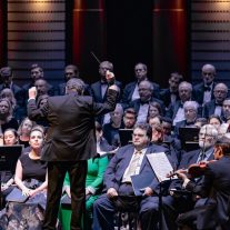 Cuatro virtuosos de Palm Beach Symphony… titanes de la enseñanza virtual