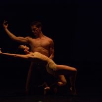 La X Muestra de Danza Daniel Lewis… un encuentro virtual con diez compañías