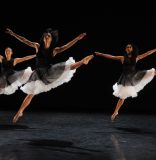 Daniel Lewis Dance Sampler takes show online