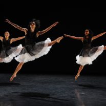 Daniel Lewis Dance Sampler takes show online