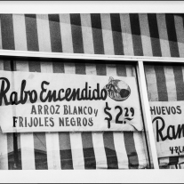 Por primera vez… el Miami cubano de los años 70 en las fotos de Josefina Tarafa