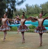 Despite pandemic, Dimensions Dance Theatre of Miami to unveil new works