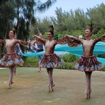 Despite pandemic, Dimensions Dance Theatre of Miami to unveil new works