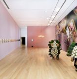 Museos miamenses. La reinvención del recorrido virtual a la apertura