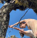 Festival ScreenDance Miami: la danza en función de la cámara
