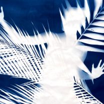 Oolite Arts showcases ‘Natural Transcendence’