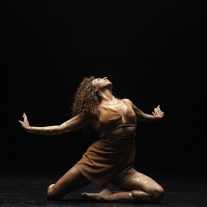 Pioneer Winter Collective’s ‘Birds of Paradise’ finally getting off the ground