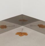 3 MOAD exhibitions span different times in artists’ careers