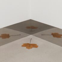 3 MOAD exhibitions span different times in artists’ careers