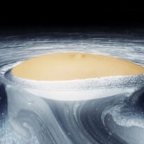 At Spinello Projects, Antonia Wright pushes back on abortion ban