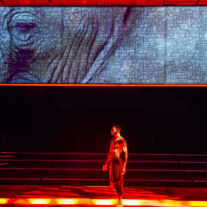 Review: Zoetic Stage’s Mlima’s Tale’ is incisive, inspired theater