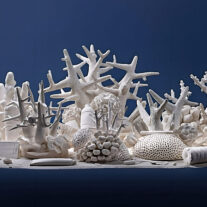 12 artists, 12 Miami Beach hotels for 3rd and largest edition of ‘No Vacancy, Miami Beach’