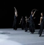 Miami Dancer One Of Ailey II’s ‘Next Generation of Dance’