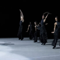 Miami Dancer One Of Ailey II’s ‘Next Generation of Dance’