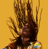 The Third Annual Afro-Carib Festival, a celebration of African and Caribbean cultures