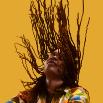 The Third Annual Afro-Carib Festival, a celebration of African and Caribbean cultures