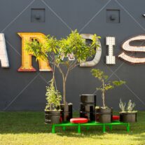 Artist’s green vision is paradise at MOCA, North Miami