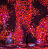 Live Arts Miami Blends Art, Immersive Installations and Tech at  Superblue