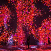 Live Arts Miami Blends Art, Immersive Installations and Tech at  Superblue