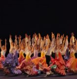 LAS GALAS DEL XV FESTIVAL DE FLAMENCO DE MIAMI