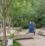 Experience ‘Orchidelirium’ at the Miami Beach Orchid Festival