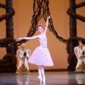 Miami City Ballet’s Swan Song For A Sugar Plum Fairy In ‘Nutcracker’