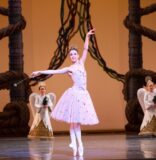 Miami City Ballet’s Swan Song For A Sugar Plum Fairy In ‘Nutcracker’