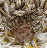 On View at Collective 62: ‘Idas y Vueltas’