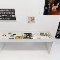 40th Anniversary Oolite Exhibition Looks At The Past, Envisions The Future