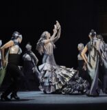 A Look At The Season of Dance