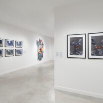 MOAD Art Exhibition Another Reason To Visit Newly Reopened Freedom Tower