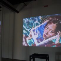 ‘Observando los Modelos’ o la Internet como materia de creación artística 