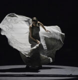 Genios del flamenco de visita en Miami