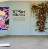 Dahlia Dreszer Turns Memory Into Bloom at Miami Beach Botanical