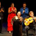 El ‘festival de cante’ de Siempre Flamenco: en un patio andaluz con amigos y familia