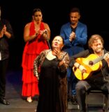 El ‘festival de cante’ de Siempre Flamenco: en un patio andaluz con amigos y familia