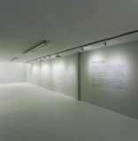 The Geometry of Silence: Medina and Tagliafico in Coral Gables